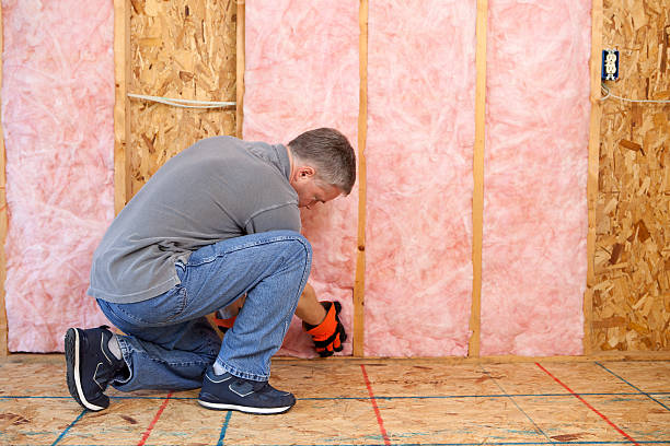 Best Insulation Installation Services in North Little Rock, AR